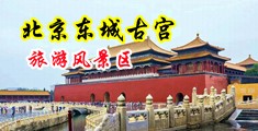 美女操逼一级片靠逼网站中国北京-东城古宫旅游风景区